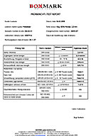Test Report